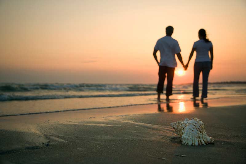 charitable remainder trust