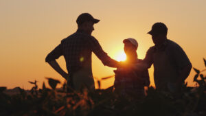 family business succession